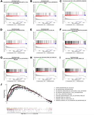 Development and verification of the glycolysis-associated and immune-related prognosis signature for hepatocellular carcinoma